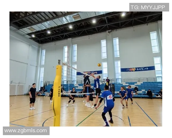 排球盛宴：深入分析杭州排球队的训练与竞技状态